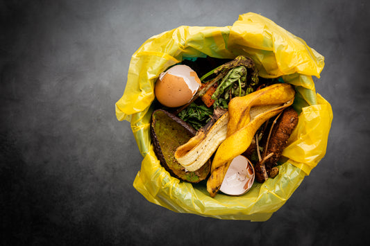 Ready to Start Composting?!